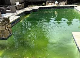 Green Pool Treatment